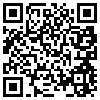 QR Code Handyversion