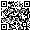 QR Code Handyversion