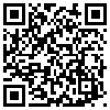 QR Code Handyversion