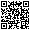 QR Code Handyversion