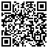 QR Code Handyversion