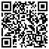 QR Code Handyversion