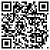 QR Code Handyversion