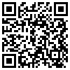QR Code Handyversion
