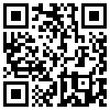 QR Code Handyversion