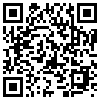 QR Code Handyversion