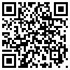 QR Code Handyversion