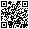 QR Code Handyversion