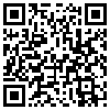 QR Code Handyversion