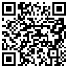 QR Code Handyversion