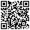 QR Code Handyversion