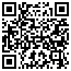 QR Code Handyversion