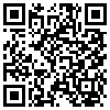 QR Code Handyversion