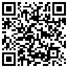 QR Code Handyversion