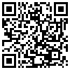 QR Code Handyversion