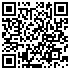 QR Code Handyversion