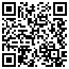 QR Code Handyversion