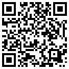 QR Code Handyversion