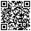 QR Code Handyversion