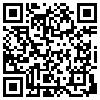 QR Code Handyversion