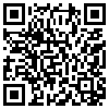 QR Code Handyversion