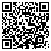 QR Code Handyversion