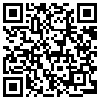 QR Code Handyversion