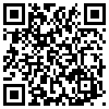 QR Code Handyversion