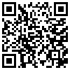 QR Code Handyversion