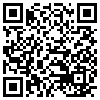 QR Code Handyversion