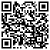 QR Code Handyversion