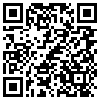 QR Code Handyversion