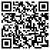 QR Code Handyversion