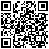 QR Code Handyversion