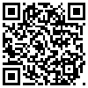 QR Code Handyversion