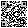 QR Code Handyversion