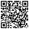 QR Code Handyversion