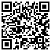 QR Code Handyversion