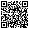 QR Code Handyversion