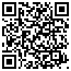 QR Code Handyversion