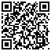 QR Code Handyversion