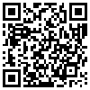 QR Code Handyversion