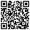 QR Code Handyversion