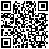 QR Code Handyversion