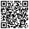 QR Code Handyversion