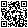 QR Code Handyversion