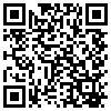 QR Code Handyversion