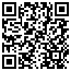 QR Code Handyversion