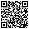 QR Code Handyversion