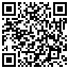 QR Code Handyversion